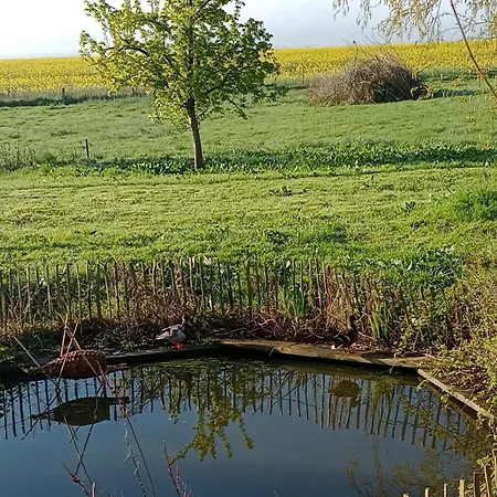 Pustehus Vakantiehuis *