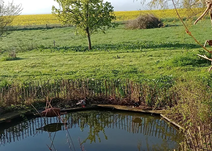 Pustehus 度假居 *